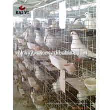 Racing Pigeon Metal Cage Vente en gros (Usine directe, prix bas)